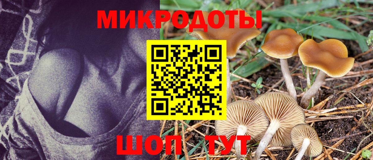 Галлюциногенные грибы MAGIC MUSHROOMS Якутск