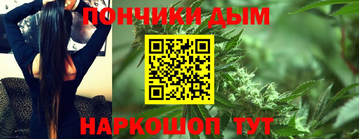 МАРИХУАНА сатива Якутск